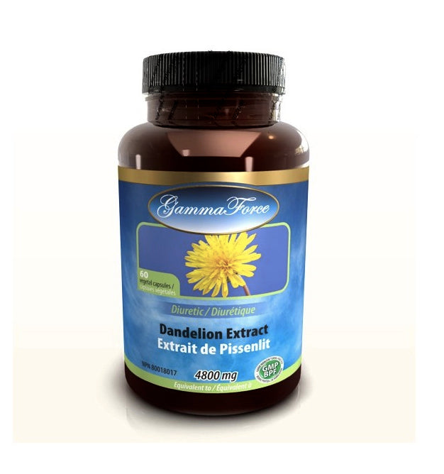 Extrait de pissenlit (extrait racine 10:1) - 480mg - Gamma Force - 60 capsules